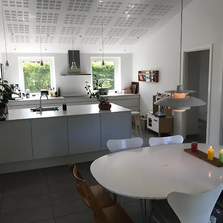 New House In